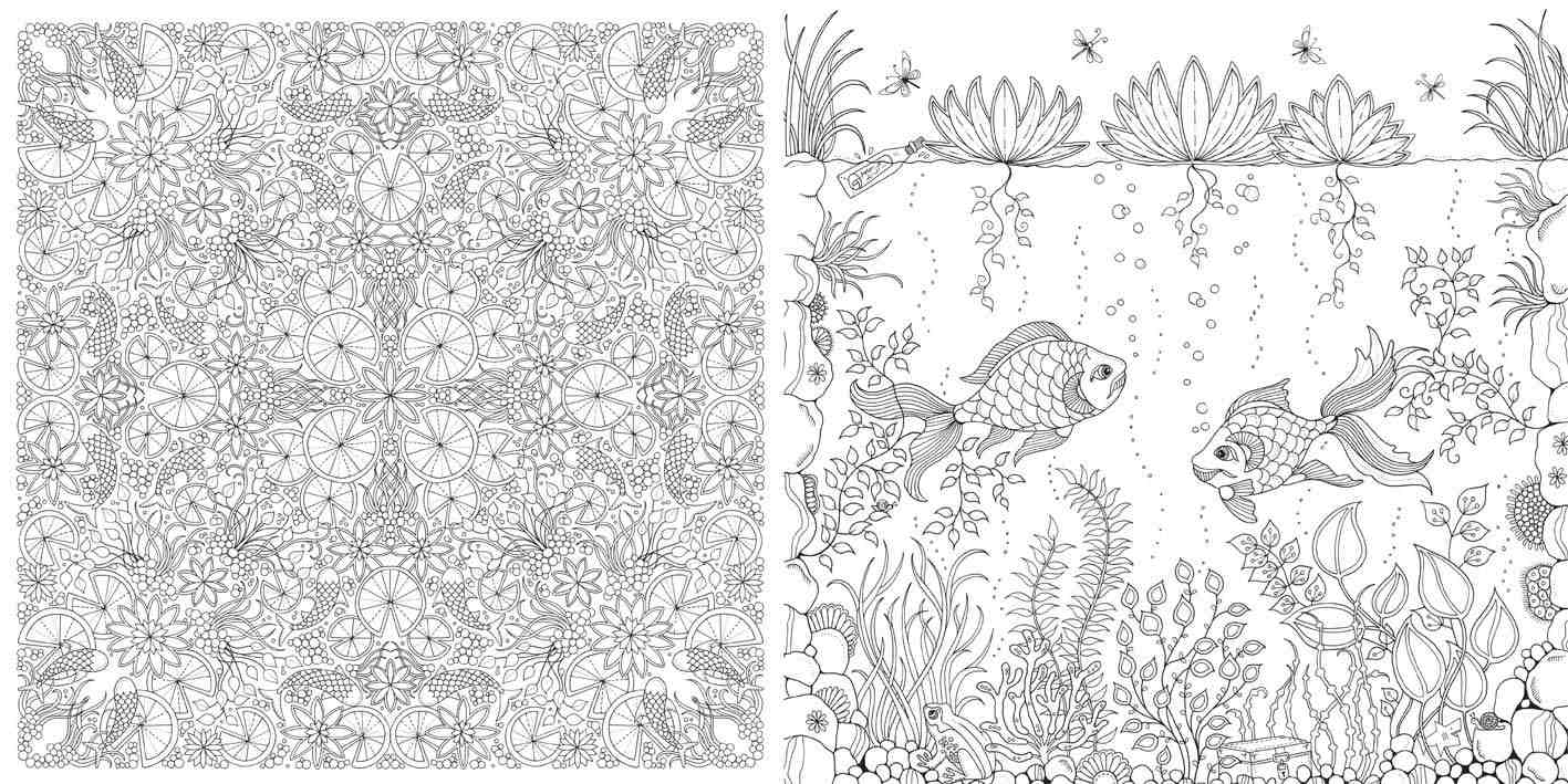 Jardim Secreto ( Imagem 4 de 4 ) - Preview