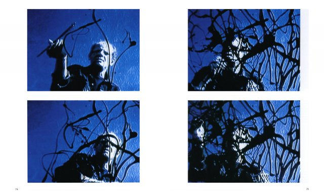 Pollock ( Imagem 4 de 4 ) - Preview