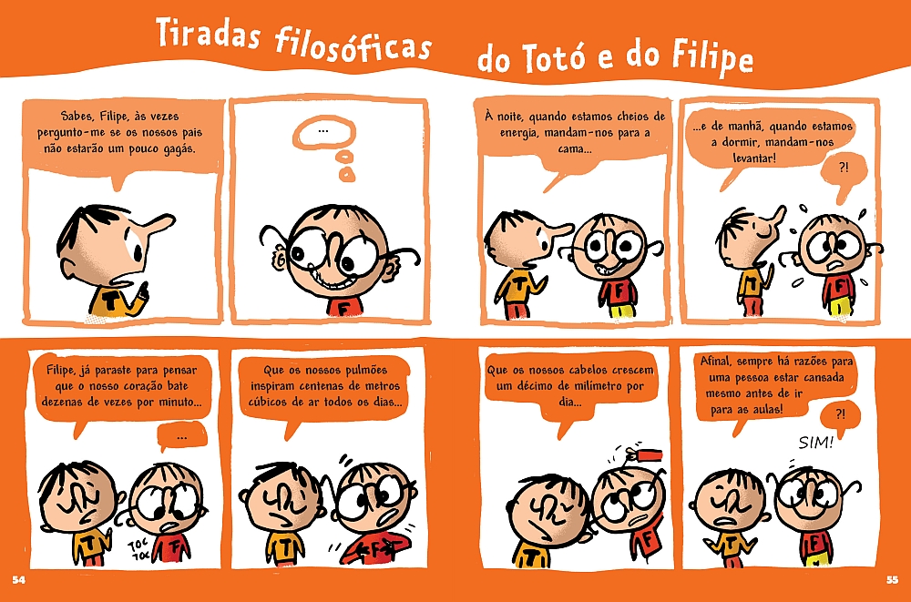 Totó N.º 1 ( Imagem 3 de 3 ) - Preview