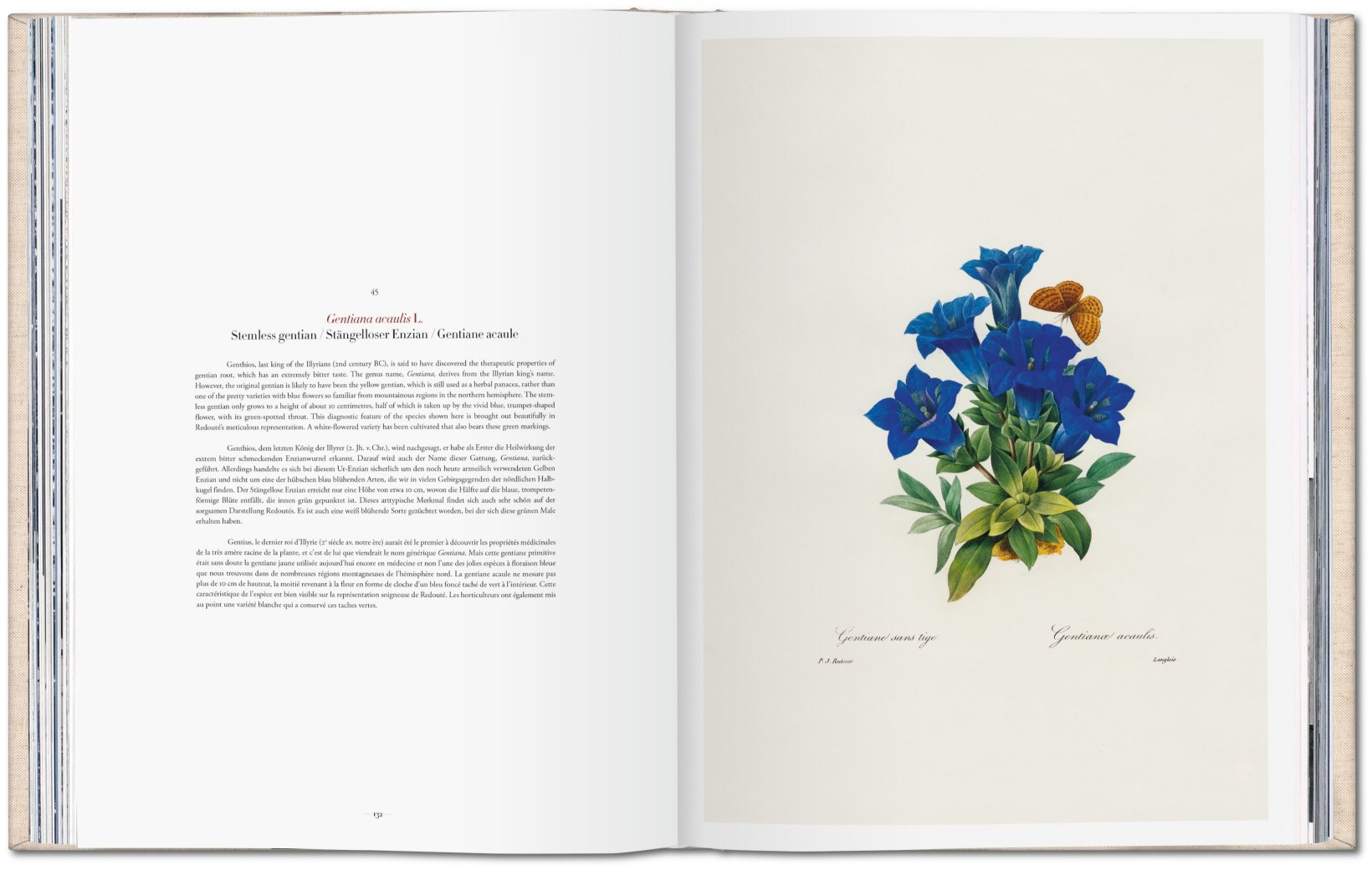 Redouté - Choix des plus belles fleurs ( Imagem 3 de 4 ) - Preview
