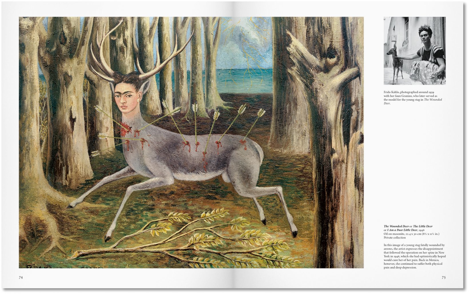 Kahlo ( Imagem 4 de 4 ) - Preview