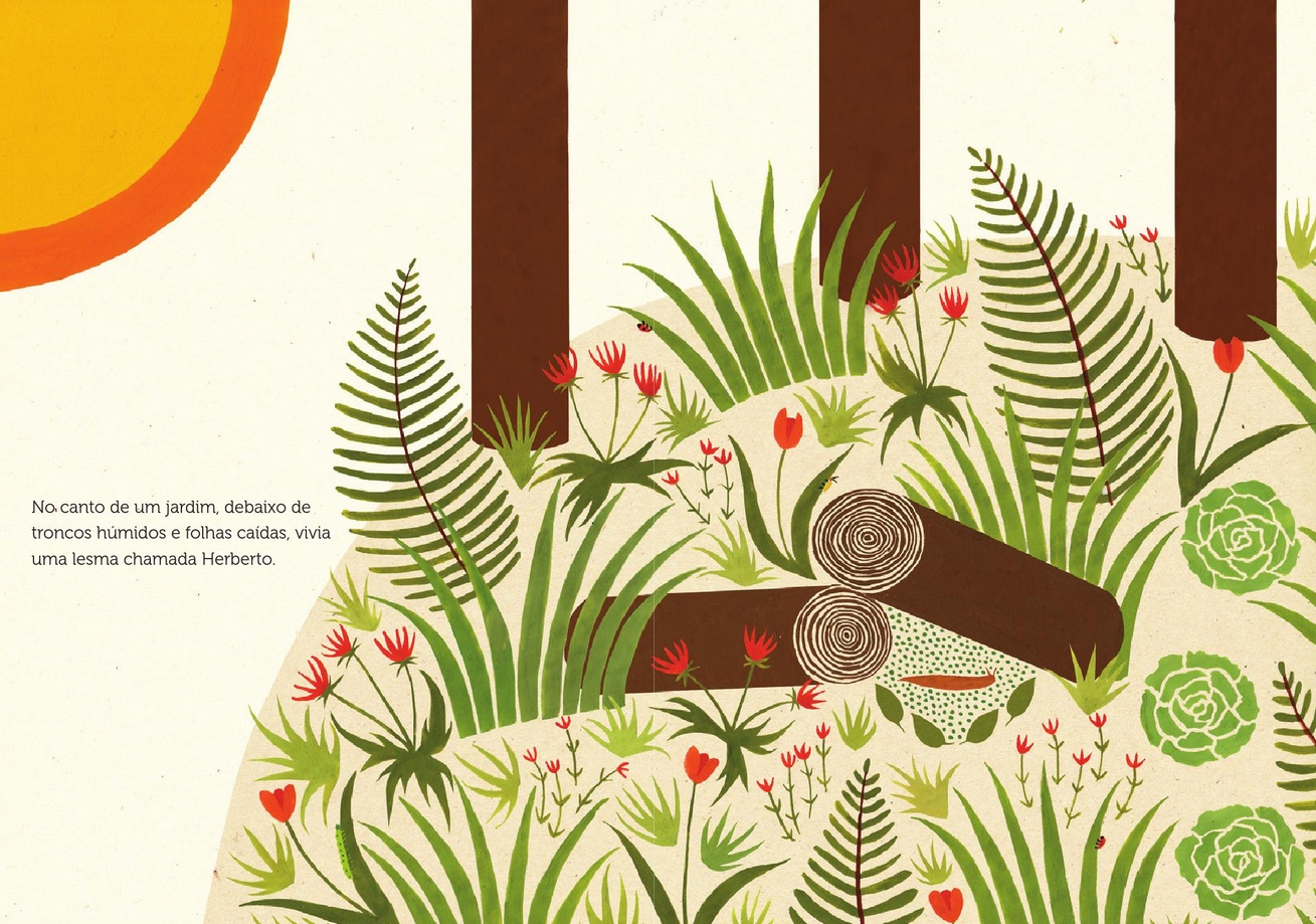 Herberto ( Imagem 2 de 3 ) - Preview