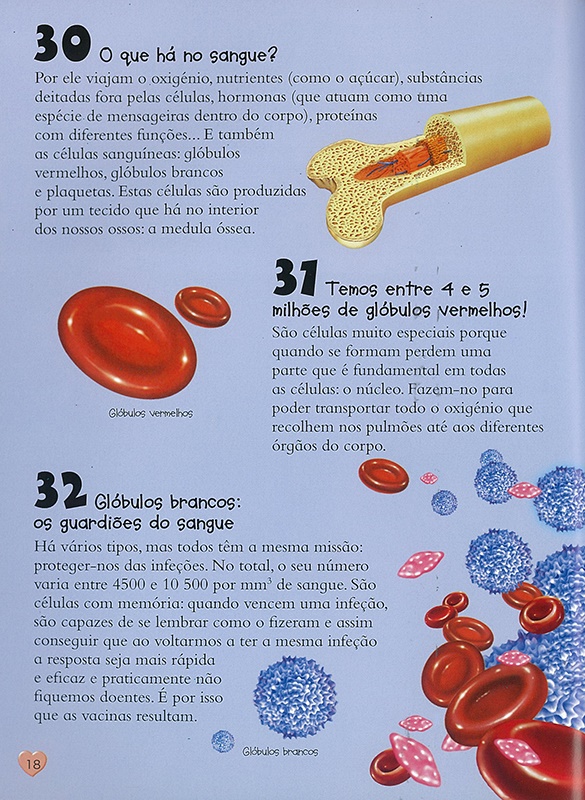 Conteúdo