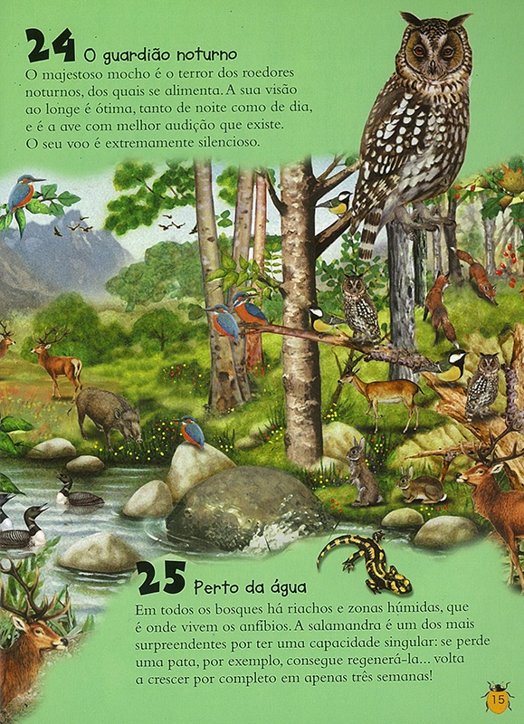 101 Coisas Que Deves Saber Sobre… Animais  ( Imagem 2 de 3 ) - Preview