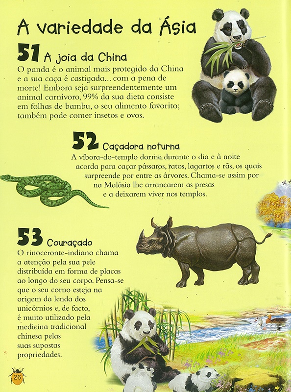 101 Coisas Que Deves Saber Sobre… Animais  ( Imagem 3 de 3 ) - Preview