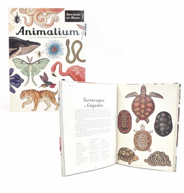 Animalium ( Imagem 2 de 2 ) - Preview