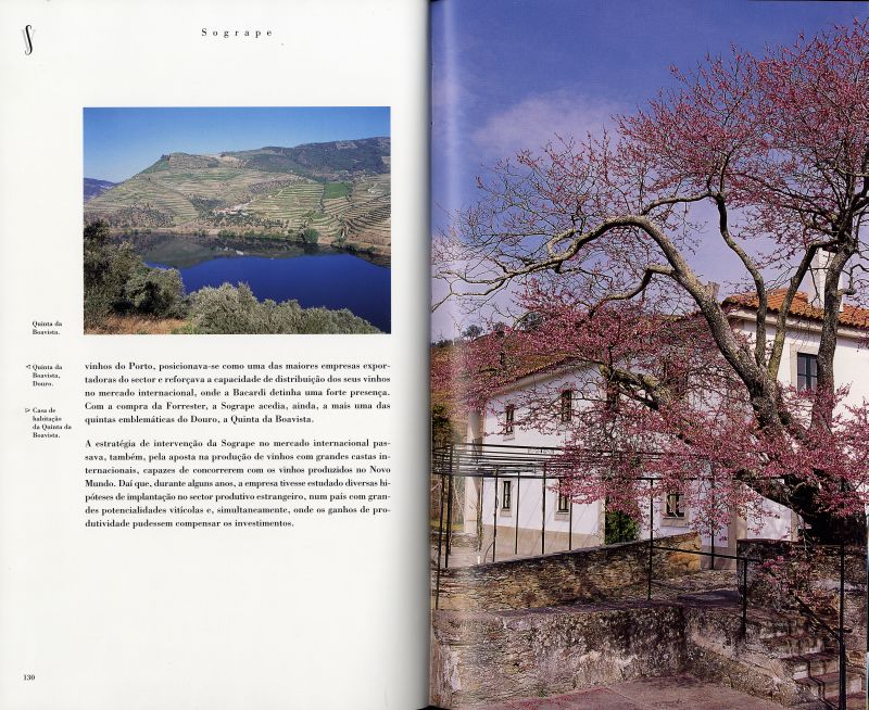 Sogrape - Uma História Vivida  ( Imagem 2 de 4 ) - Preview