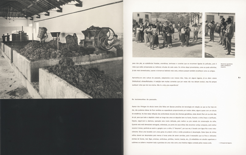 Porto Vintage  ( Imagem 3 de 3 ) - Preview