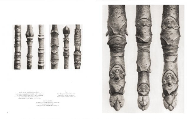 Karl Blossfeldt ( Imagem 3 de 4 ) - Preview