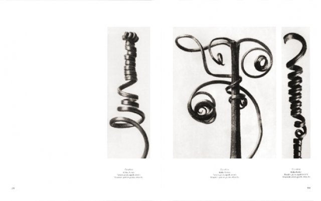 Karl Blossfeldt ( Imagem 4 de 4 ) - Preview