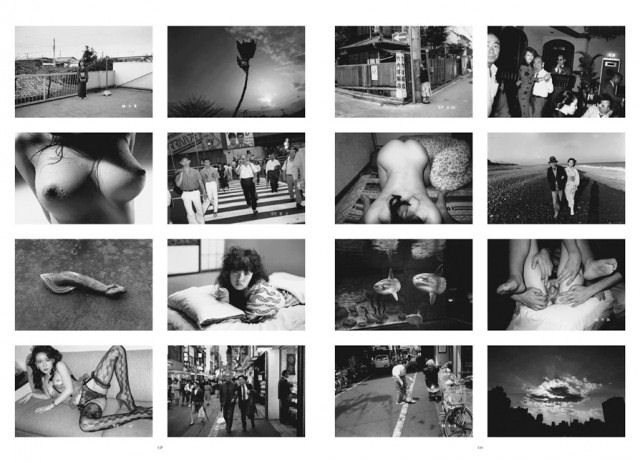 Araki ( Imagem 4 de 4 ) - Preview