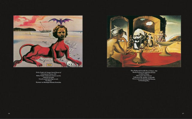Dalí ( Imagem 2 de 4 ) - Preview