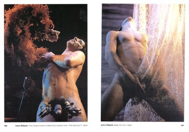 The Male Nude ( Imagem 3 de 3 ) - Preview
