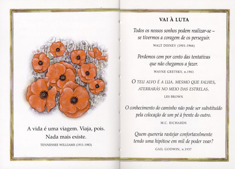 Inspirações ( Imagem 2 de 4 ) - Preview