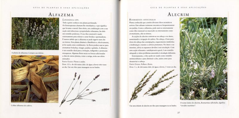 Plantas Medicinais ( Imagem 2 de 4 ) - Preview