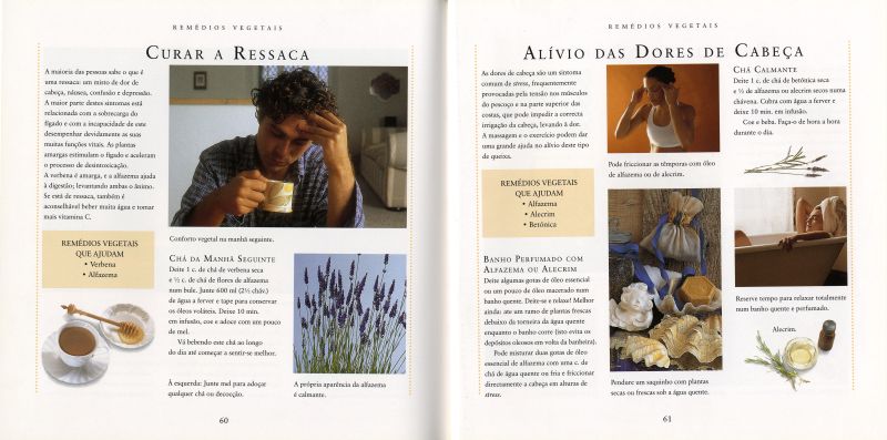 Plantas Medicinais ( Imagem 4 de 4 ) - Preview