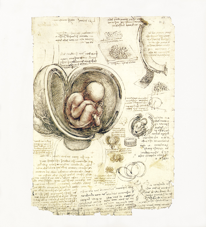 Leonardo da Vinci ( Imagem 3 de 4 ) - Preview
