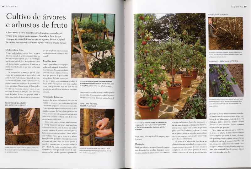 Manual Prático de Horticultura ( Imagem 2 de 4 ) - Preview
