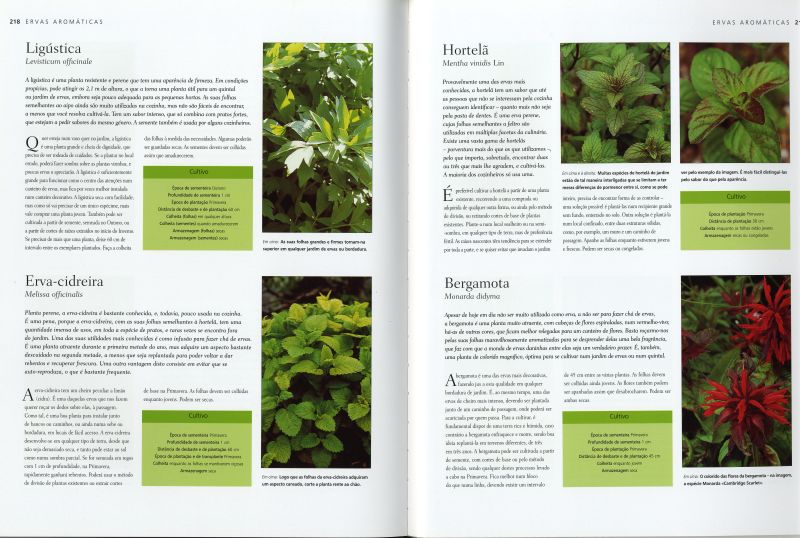 Manual Prático de Horticultura ( Imagem 4 de 4 ) - Preview