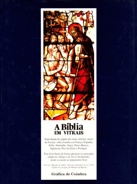 A Bíblia em Vitrais ( Imagem 2 de 2 ) - Preview