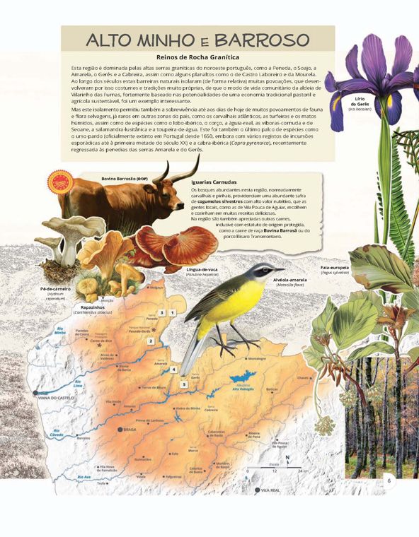 Paisagens de Portugal ( Imagem 2 de 4 ) - Preview