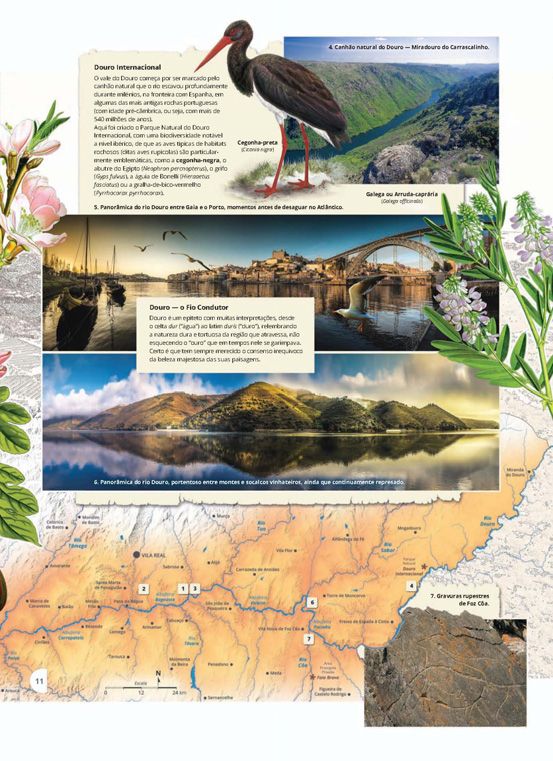 Paisagens de Portugal ( Imagem 4 de 4 ) - Preview