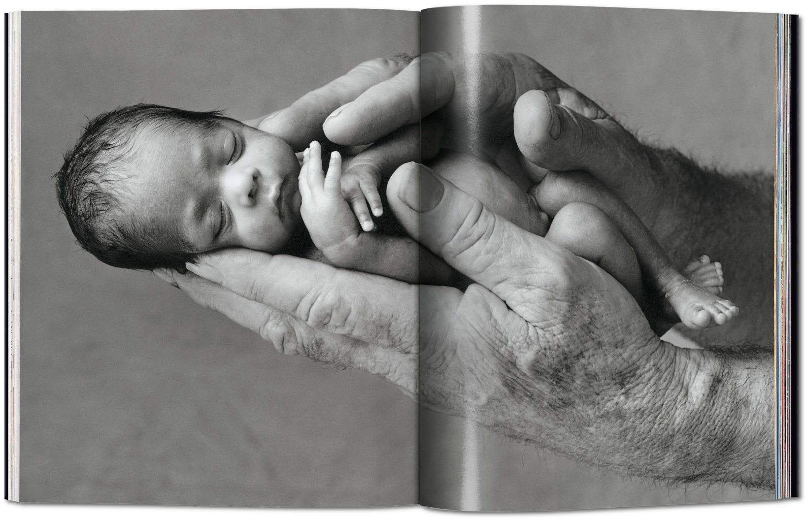 Anne Geddes - Small World ( Imagem 3 de 4 ) - Preview