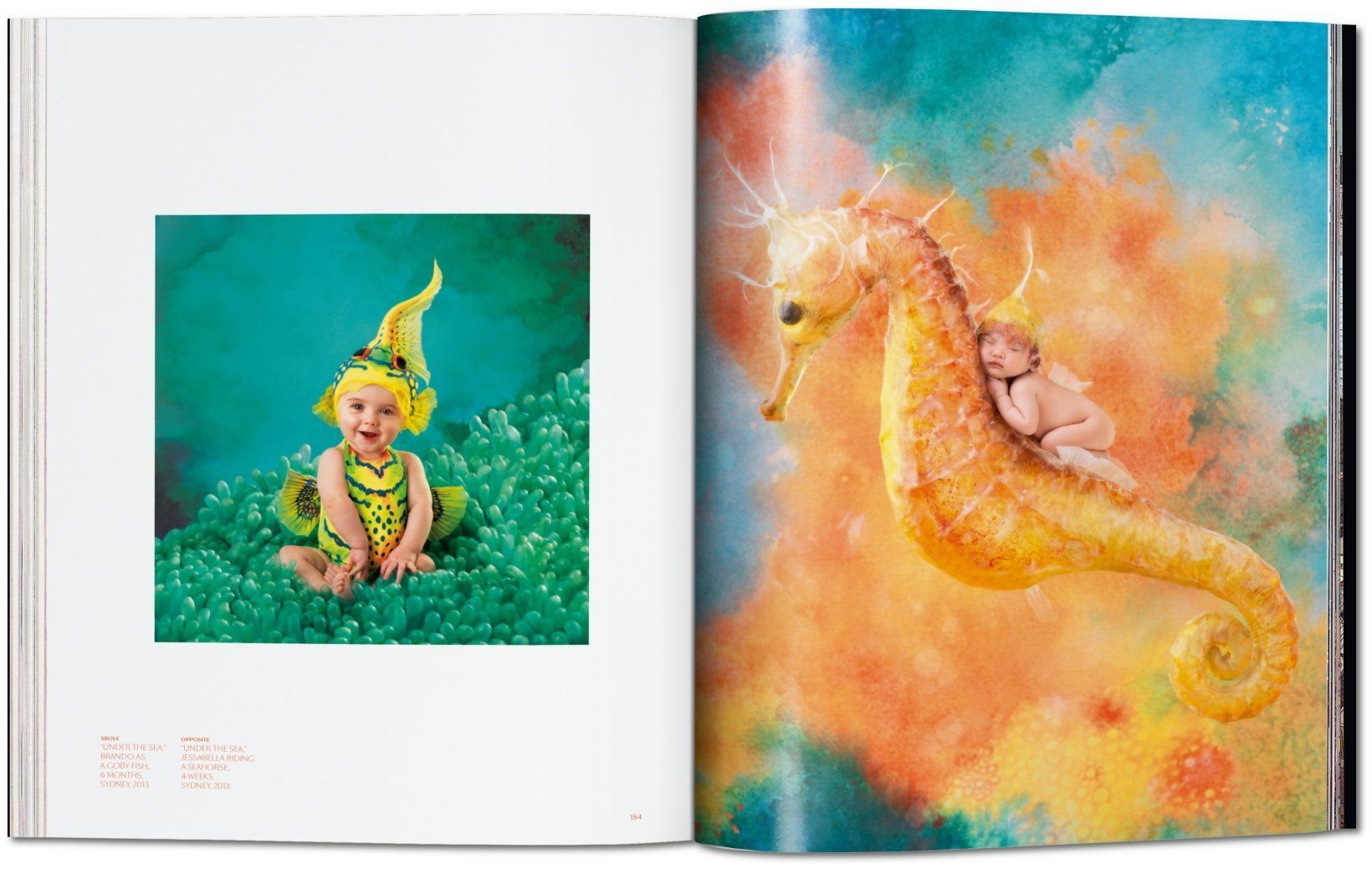 Anne Geddes - Small World ( Imagem 4 de 4 ) - Preview