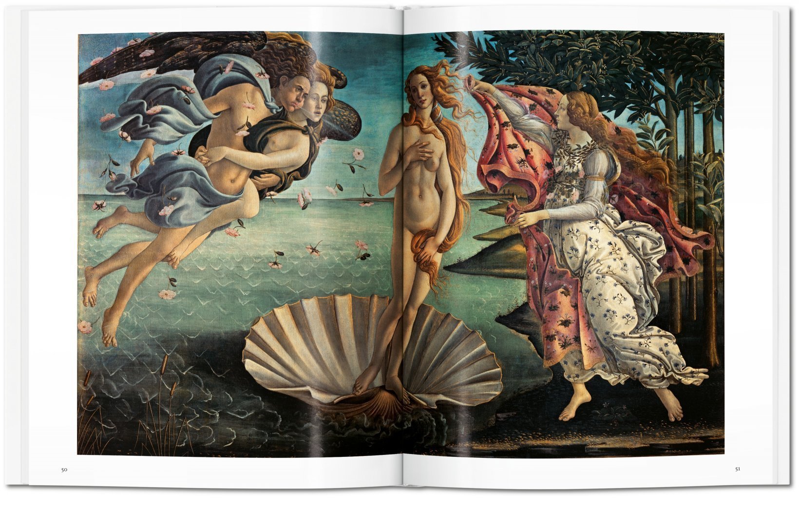 Botticelli ( Imagem 2 de 4 ) - Preview