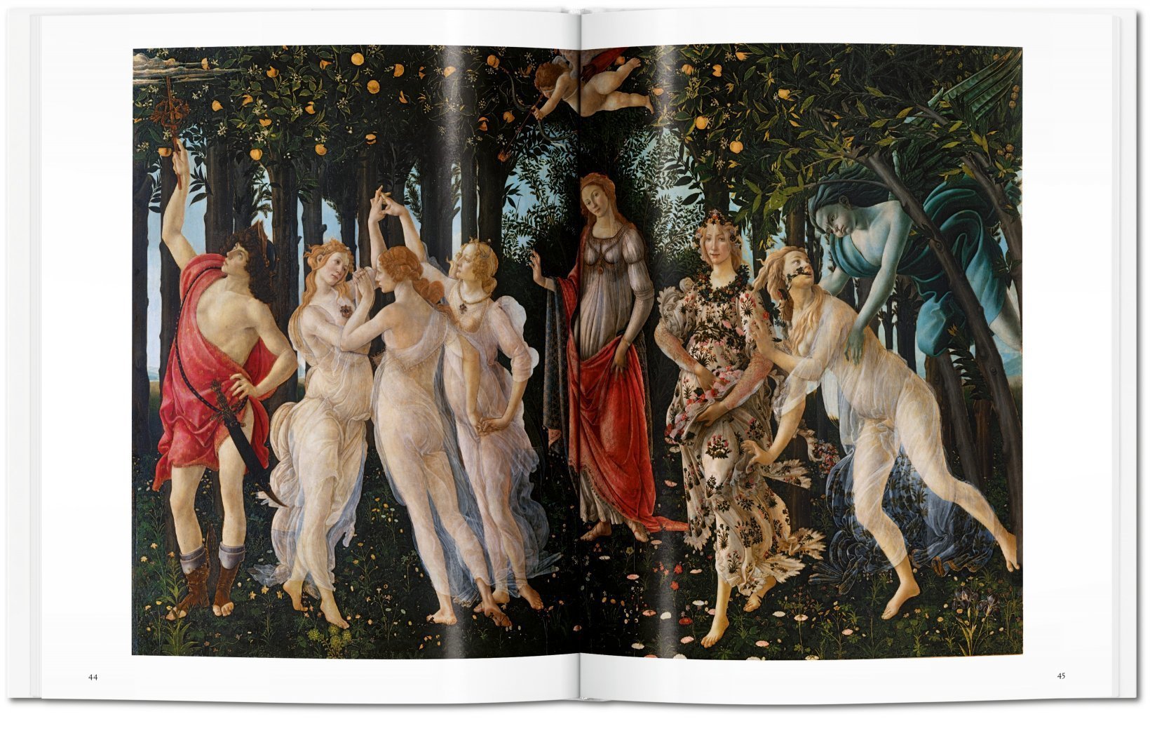 Botticelli ( Imagem 3 de 4 ) - Preview