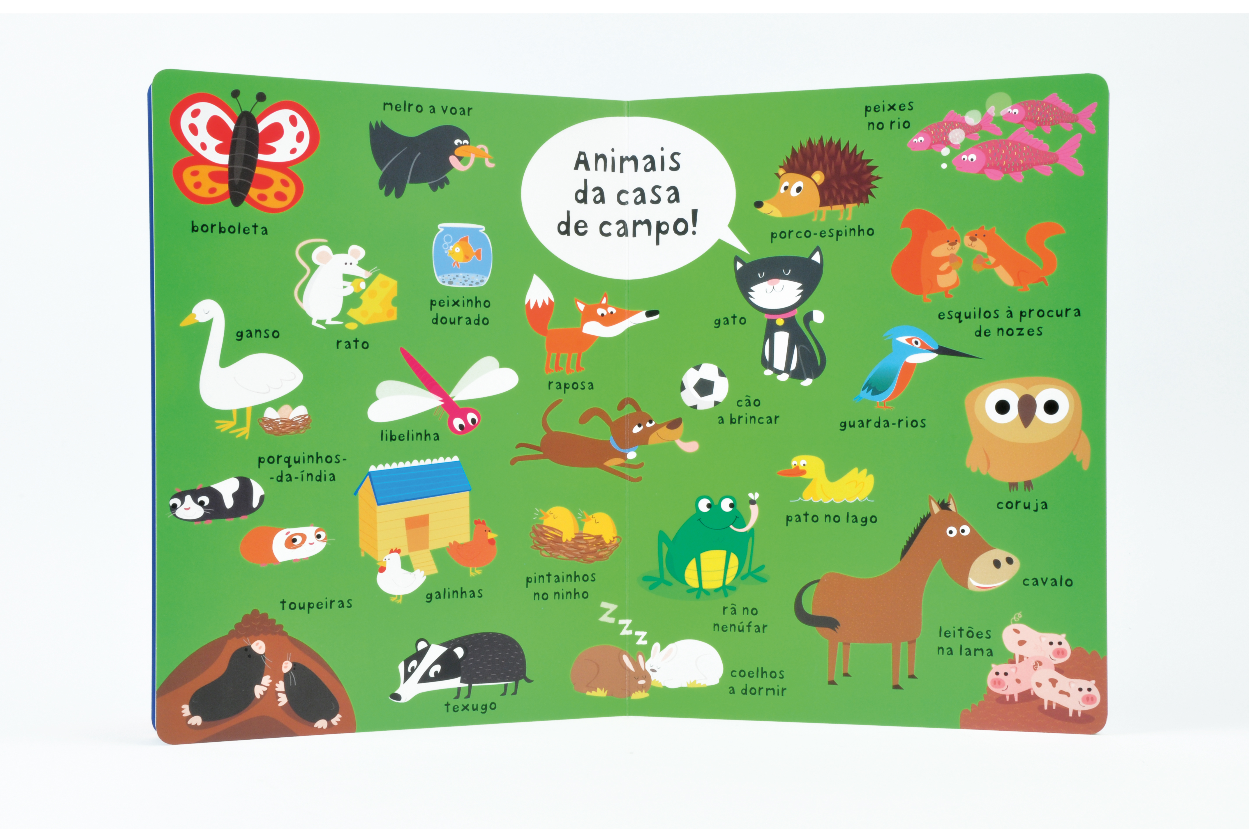 O Meu Livro Gigante de Tudo! ( Imagem 2 de 2 ) - Preview