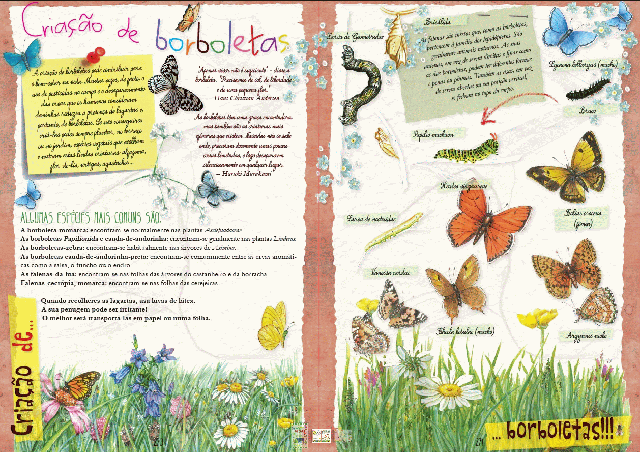 Aventura ( Imagem 2 de 3 ) - Preview