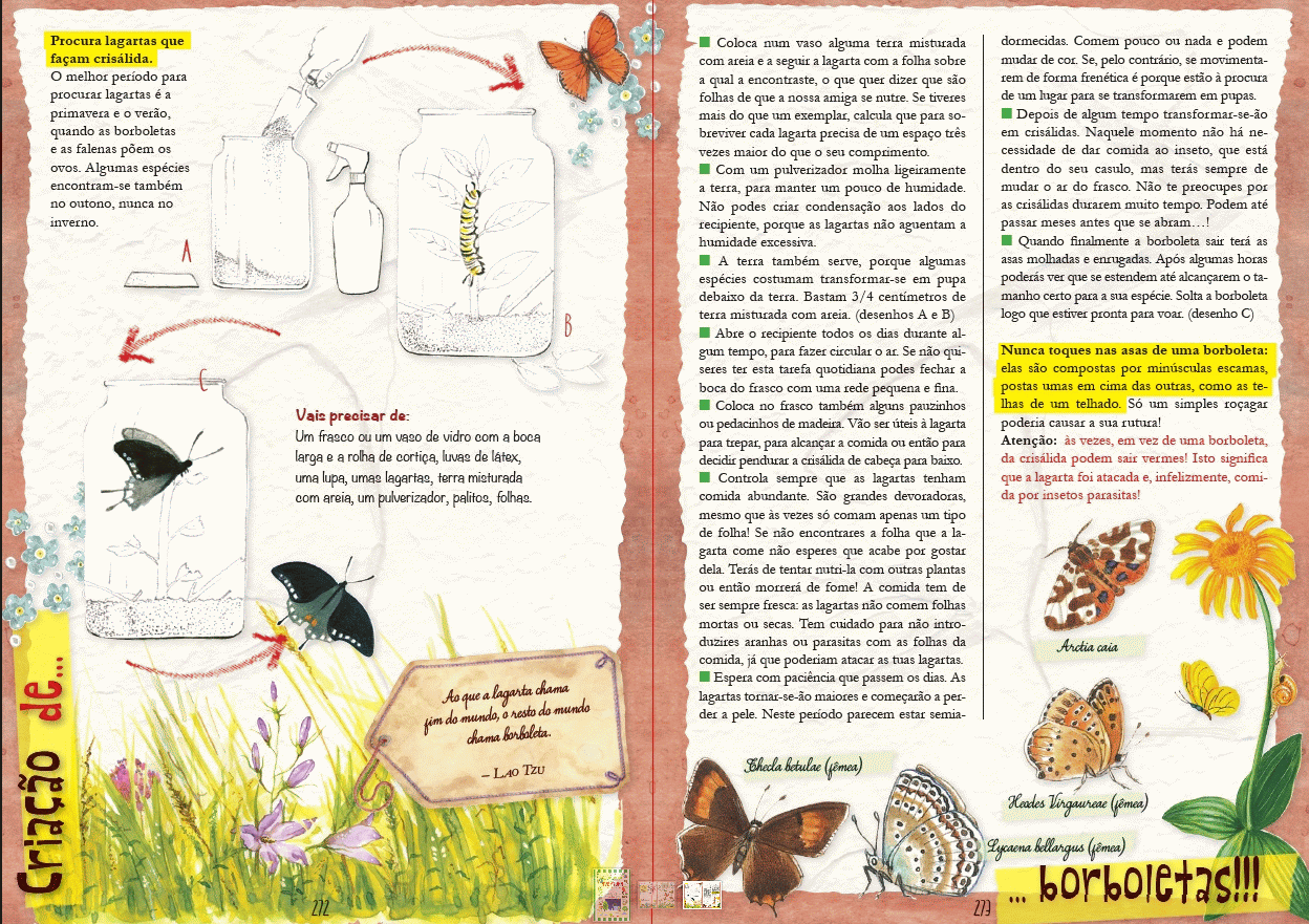 Aventura ( Imagem 3 de 3 ) - Preview
