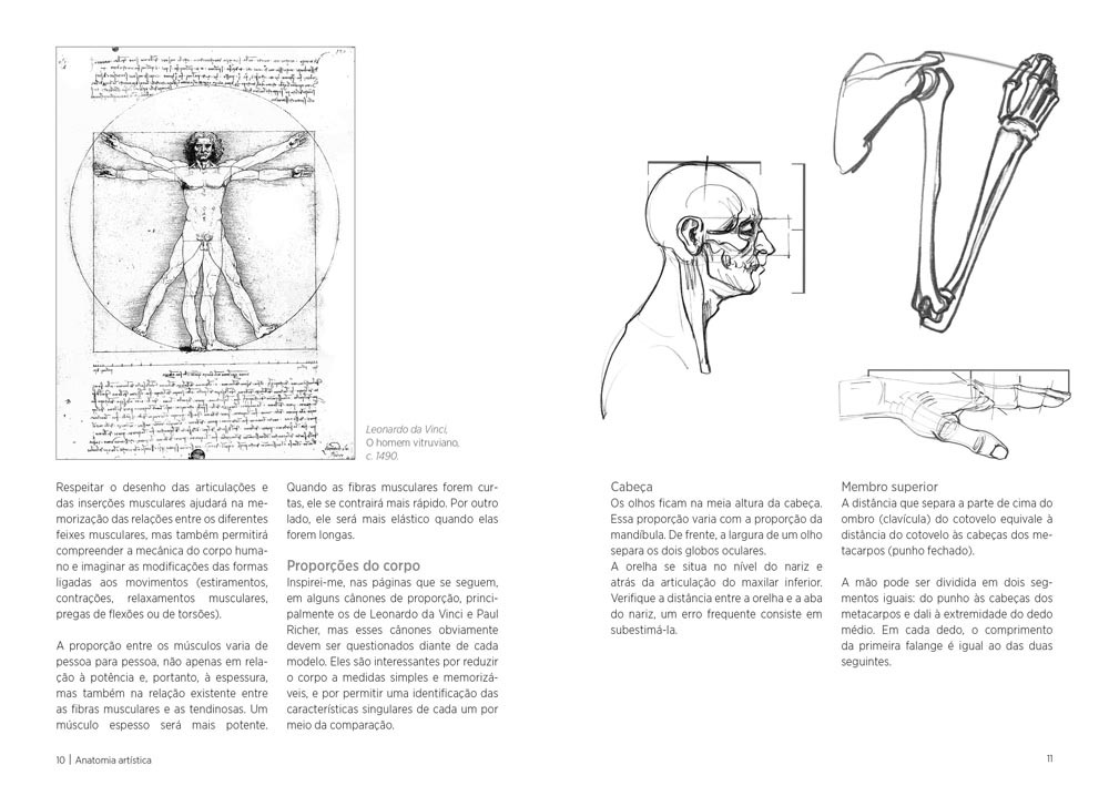 Anatomia Artística ( Imagem 4 de 4 ) - Preview