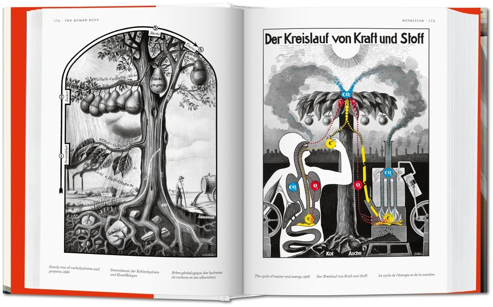 Fritz Kahn ( Imagem 2 de 4 ) - Preview