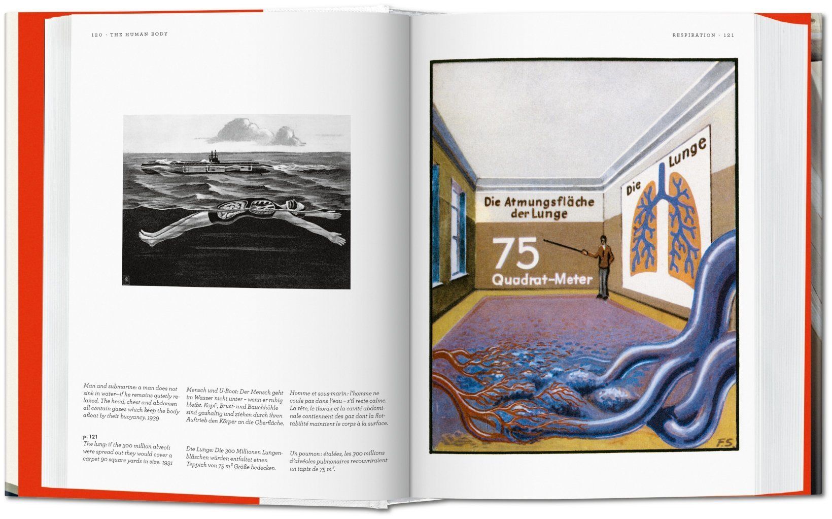 Fritz Kahn ( Imagem 3 de 4 ) - Preview