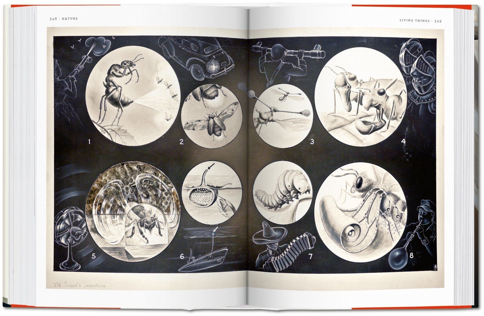 Fritz Kahn ( Imagem 4 de 4 ) - Preview