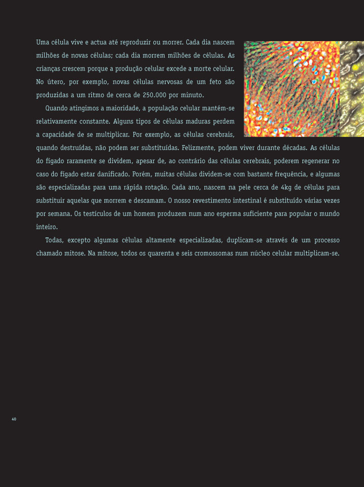 O Interior do Corpo ( Imagem 4 de 4 ) - Preview