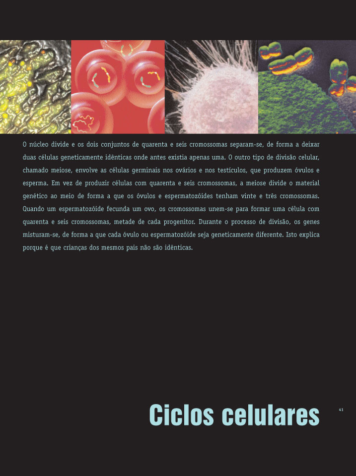 O Interior do Corpo ( Imagem 3 de 4 ) - Preview