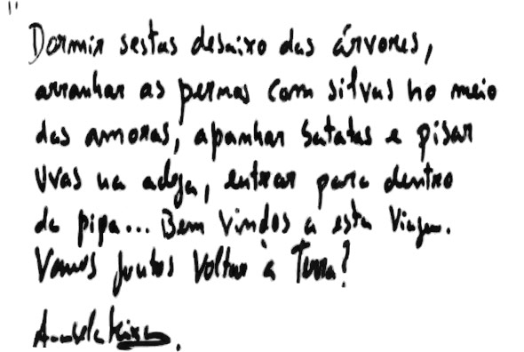 Mensagem da autora