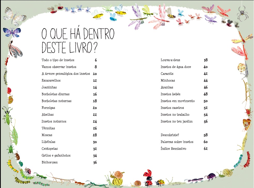 O Grande Livro dos Insetos ( Imagem 2 de 6 ) - Preview