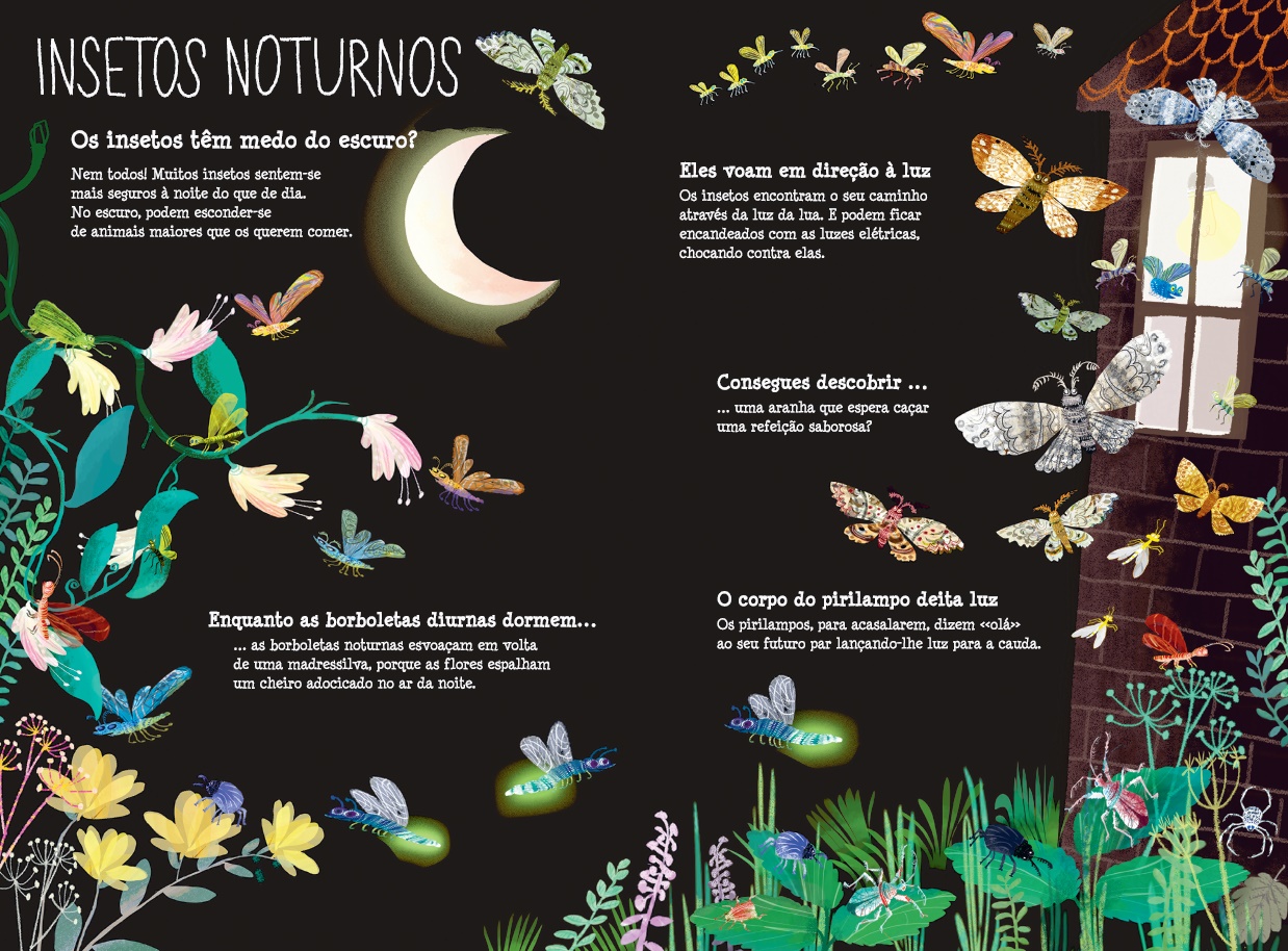 O Grande Livro dos Insetos ( Imagem 4 de 6 ) - Preview