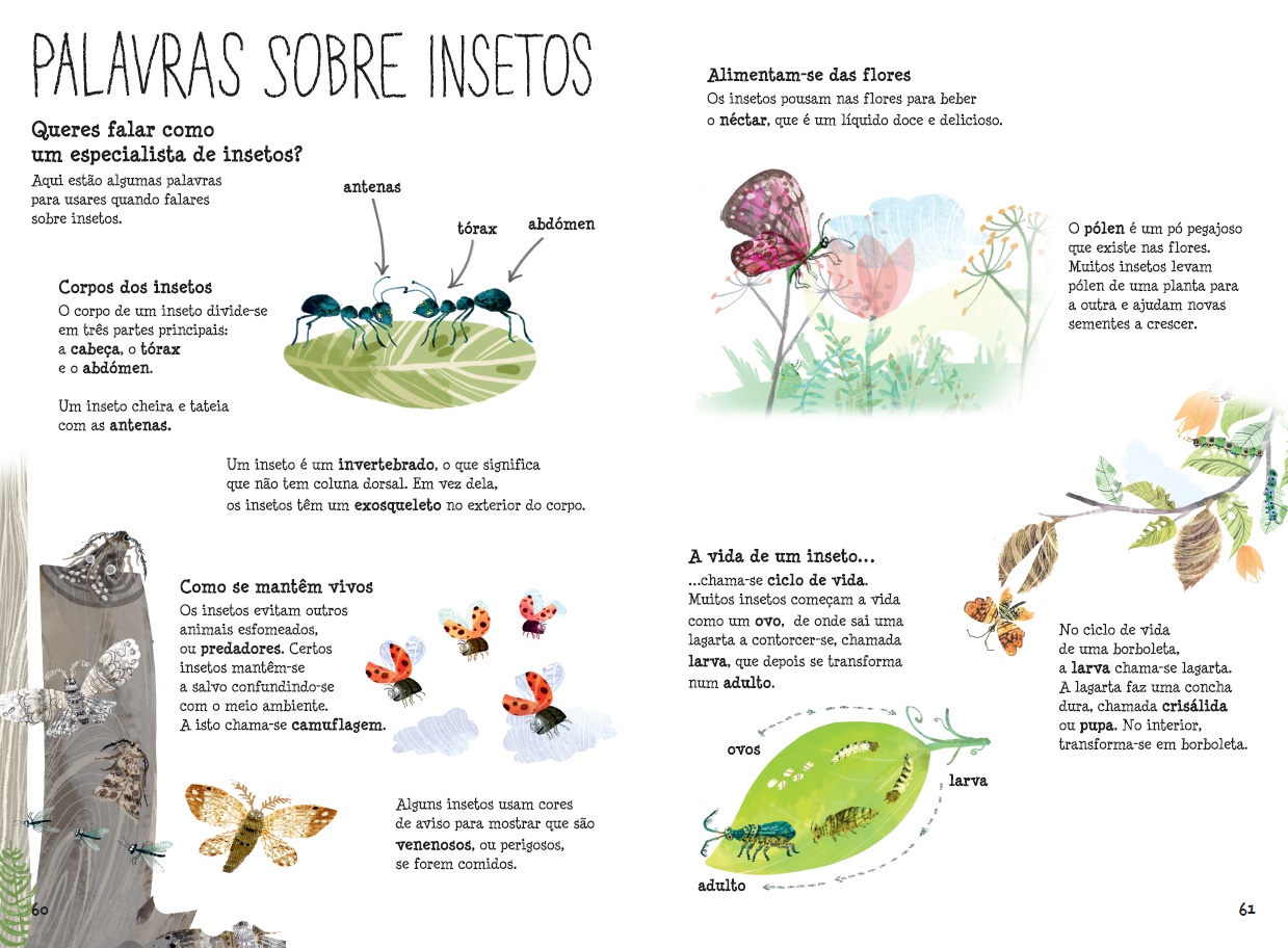 O Grande Livro dos Insetos ( Imagem 5 de 6 ) - Preview