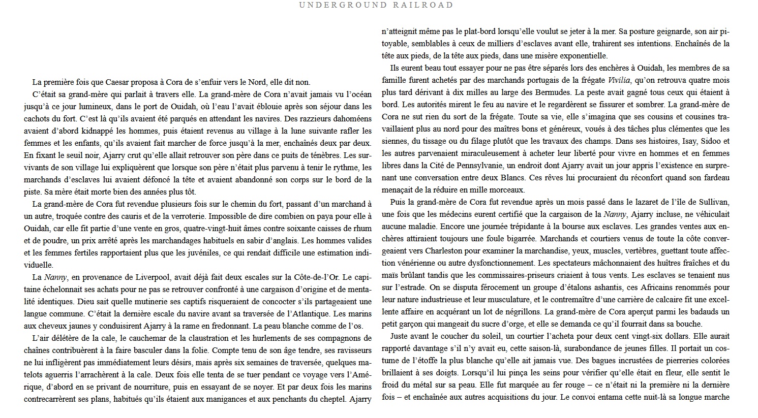 Underground Railroad ( Imagem 2 de 3 ) - Preview