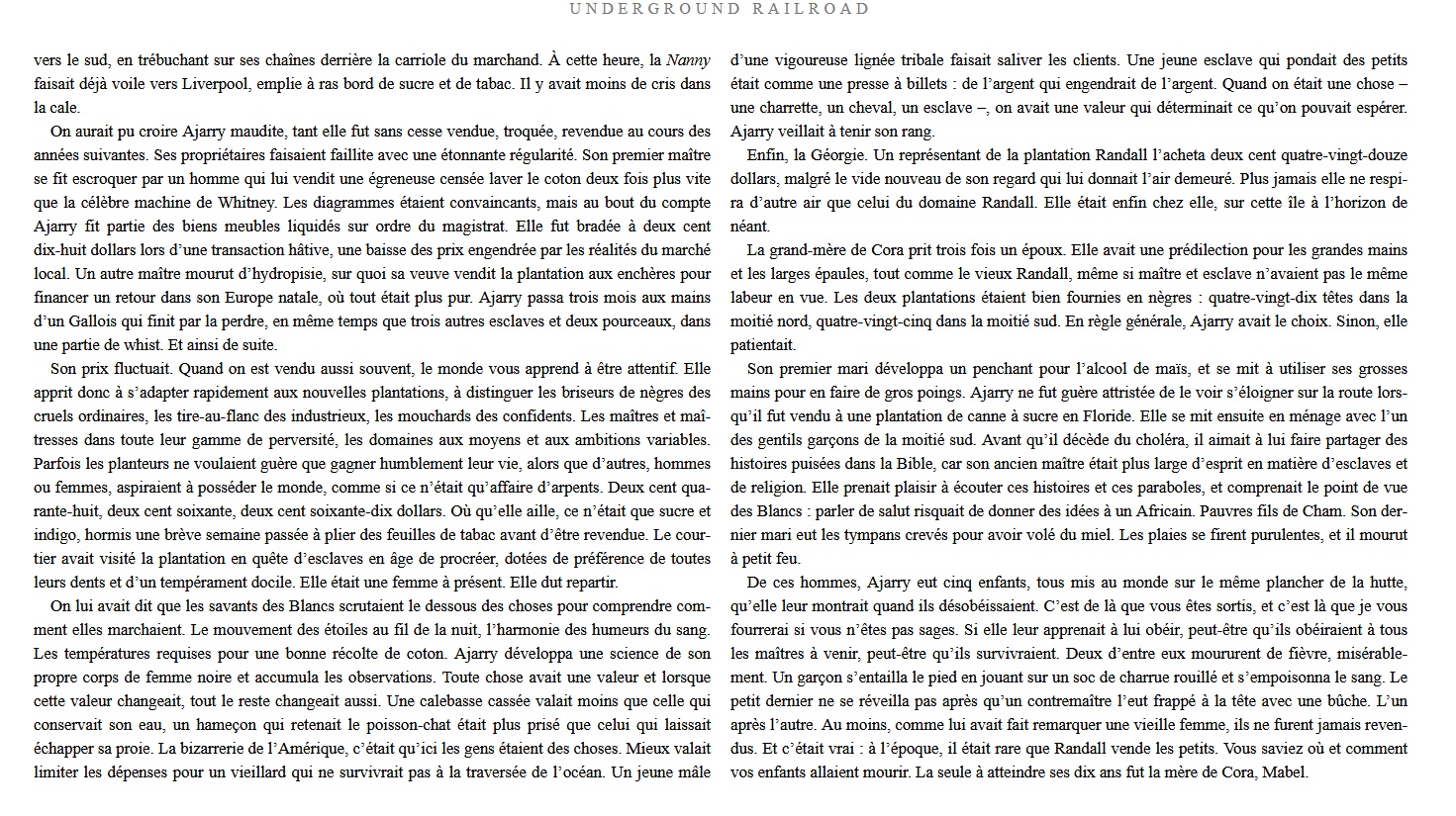 Underground Railroad ( Imagem 3 de 3 ) - Preview