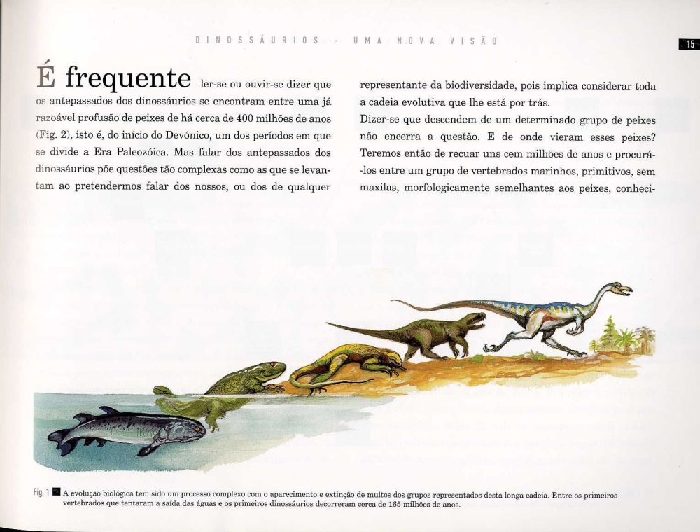 Dinossáurios ( Imagem 2 de 3 ) - Preview