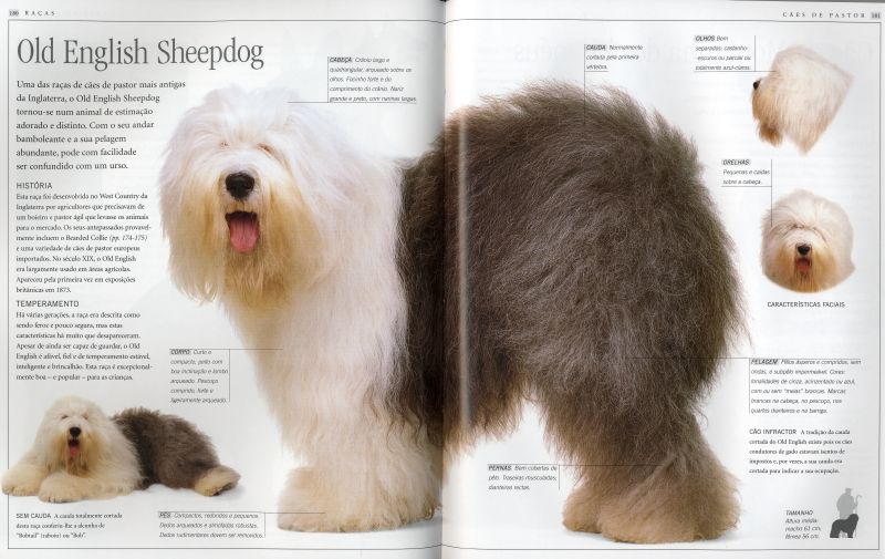 Grande Livro do Cão ( Imagem 4 de 4 ) - Preview
