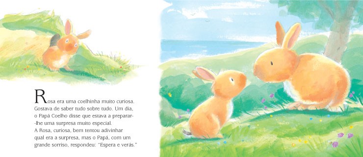 Rosa, a Coelhinha Curiosa ( Imagem 2 de 2 ) - Preview