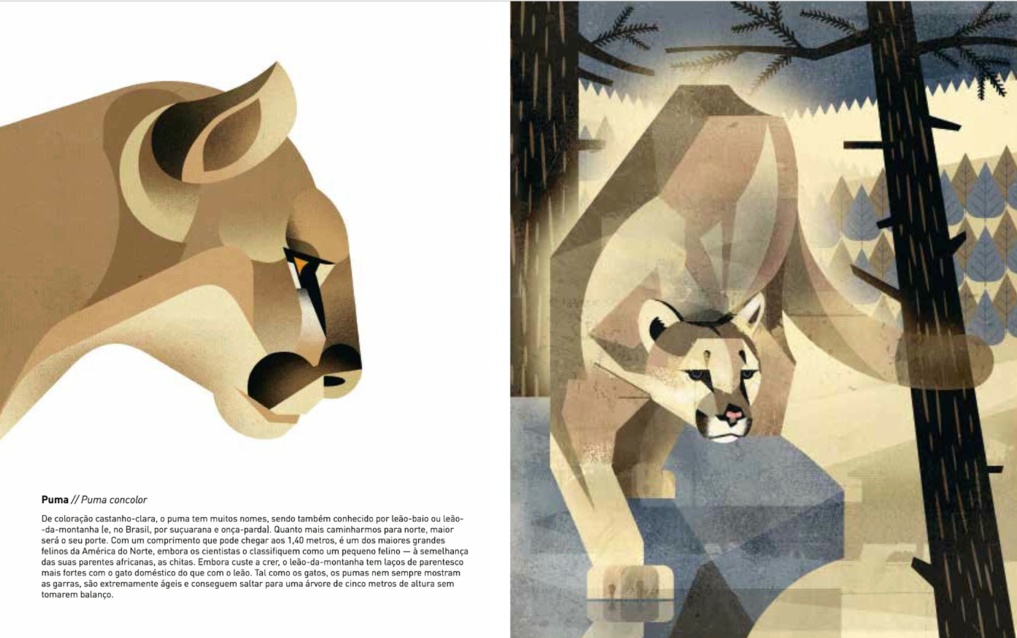 Animais Selvagens do Norte ( Imagem 2 de 4 ) - Preview