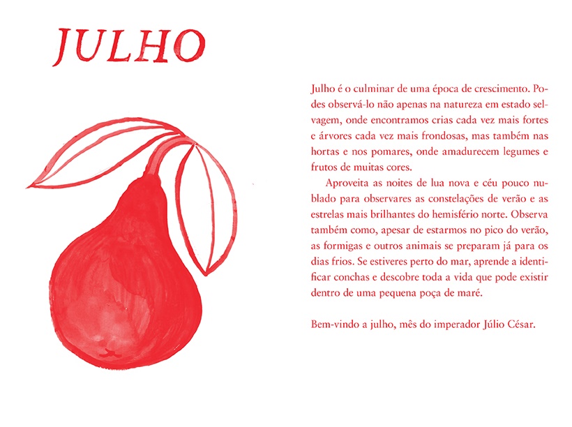 Um Ano Inteiro ( Imagem 4 de 5 ) - Preview